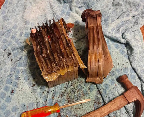 盛煌娱乐：Switch卡带经历火灾后毫发无损 网友感叹：仁坚强